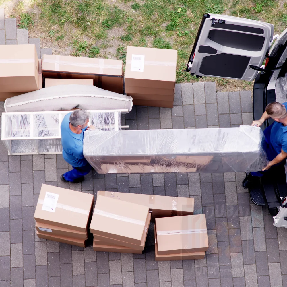 Junk Removal